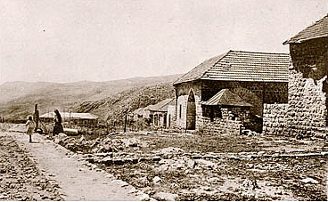metulailya100ans