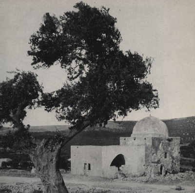 raheltomb_1905
