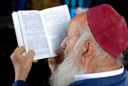 dhimmi