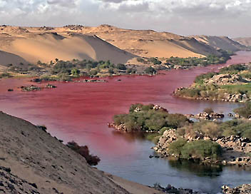 les-dix-plaies-d-egypte