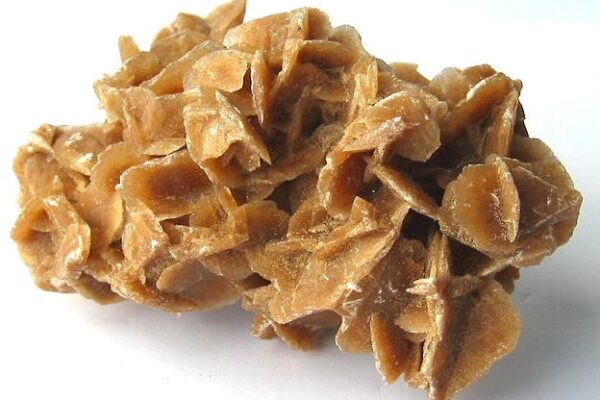 rose_sable_tunisie