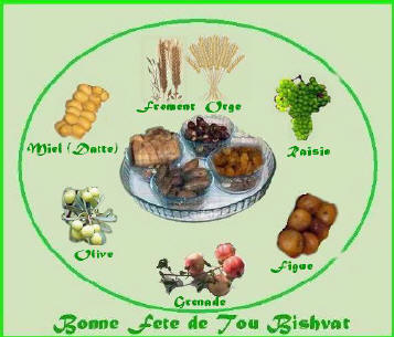 LE SEDER DE TOU BICHVAT bonneFete