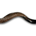 shofar