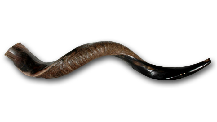 shofar