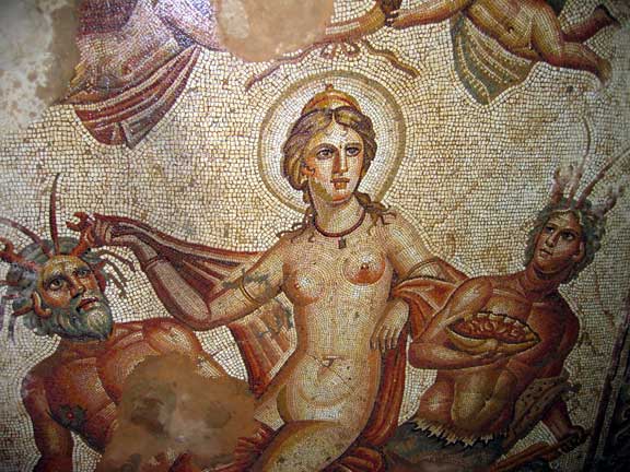 Triumph-of-Venus