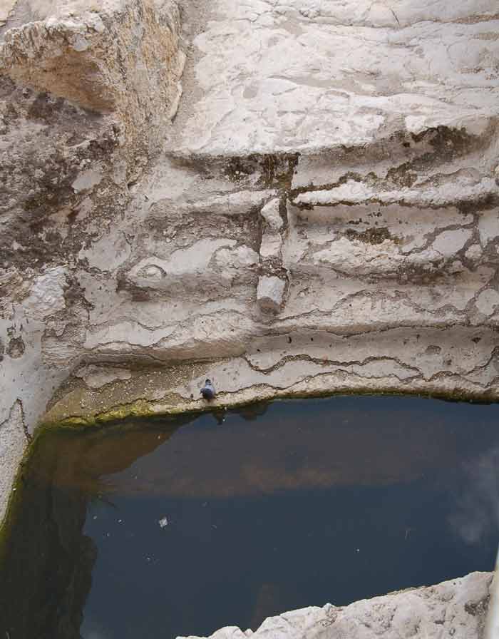 mikveh