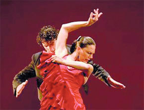 flamenco