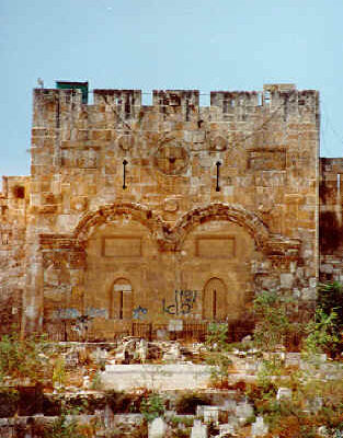 Image31