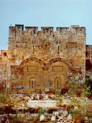 Image31