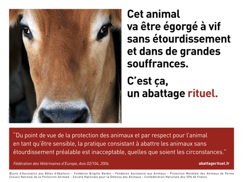 abattage-rituel