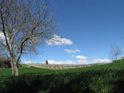 toscane