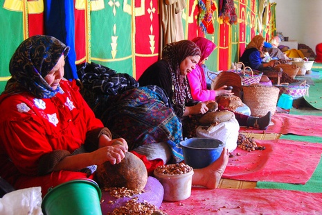 Voyage au pays de l’Argan Argan-Ziliv