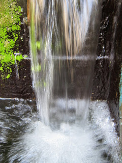 IMG_0040