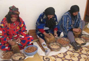 argan50