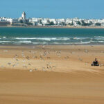 essaouira2979