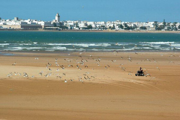 Essaouira, la « bien conçue », joue la carte du haut de gamme essaouira2979