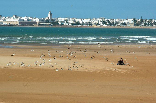 essaouira2979