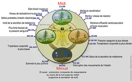 FrenchVersion