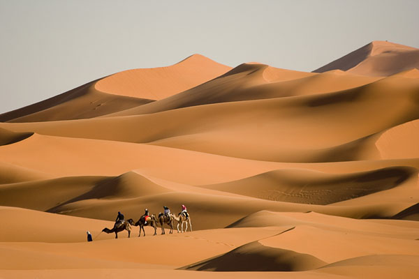 sahara-occidental-caravane