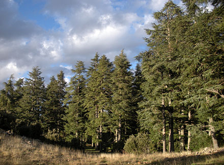 ifrane3