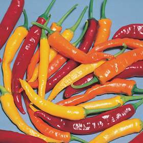 piments57868e