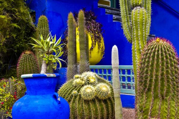 LE JARDIN MAJORELLE A MARRAKECH majorelle02