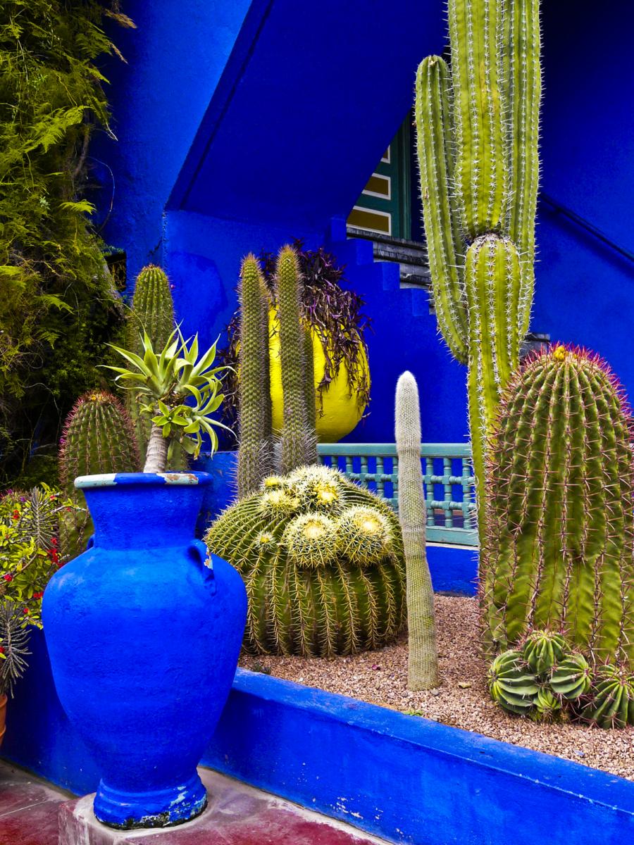 majorelle02