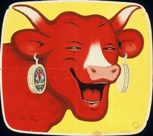 vache5671df4a69f7