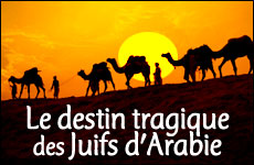 WhatHappenedJewsArabia230x150-FR