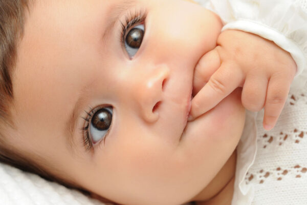 bebes54