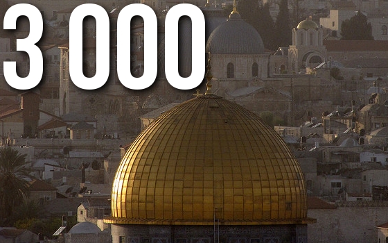 300046_L