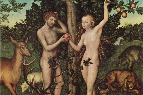 Lucas_Cranach_d