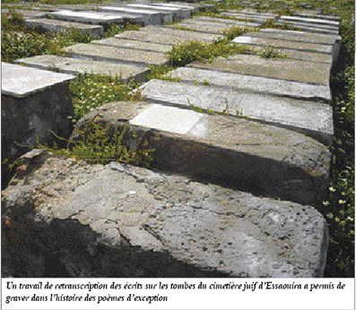 cimessaouira19_331