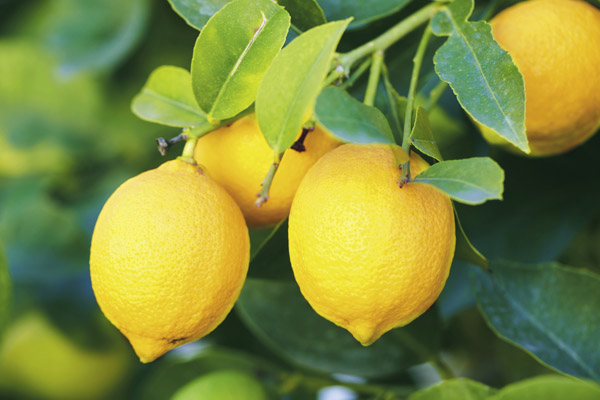 citron