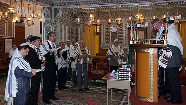 synarabat55