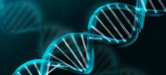 Découverte scientifique : Des mutations génétiques responsables de différentes maladies chez les juifs marocains helixb_565