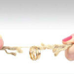 divorce_test