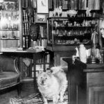 freud_desk9