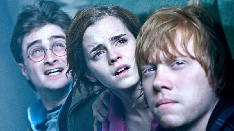 harrypotterx453
