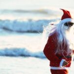 perenoelfb
