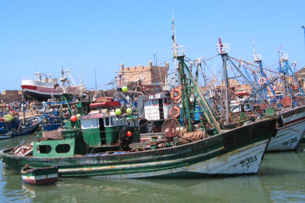 Essaouira_port_bateaux_1130