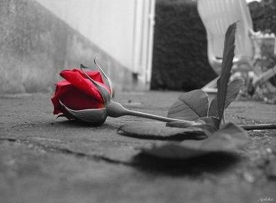amour-decu