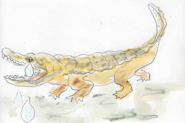 croco2dfa36970d