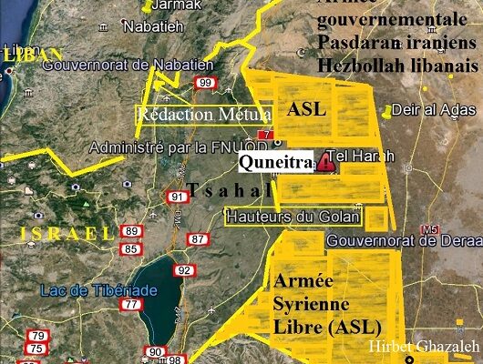 harah_adas_illustr_resized