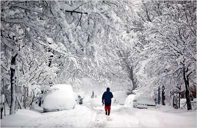 snow-storm-sfSpan