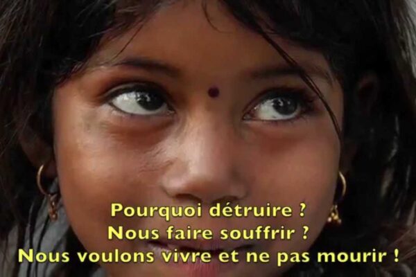 guerre