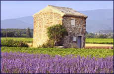 LeChabbatdeMonsieurNoiret230x150-FR