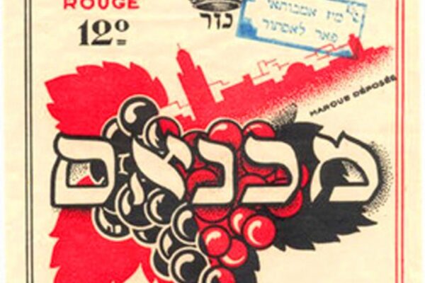 vinscachermaroc