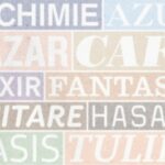 mot-francais-d-origine-arabe