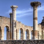 VOLUBILIS-large570